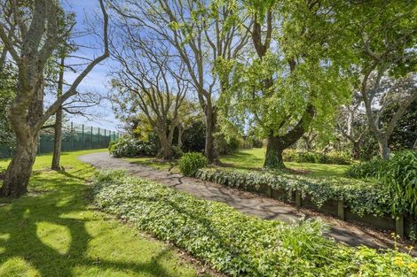 Photo of property in 123 Carmichael Road, Bethlehem, Tauranga, 3110