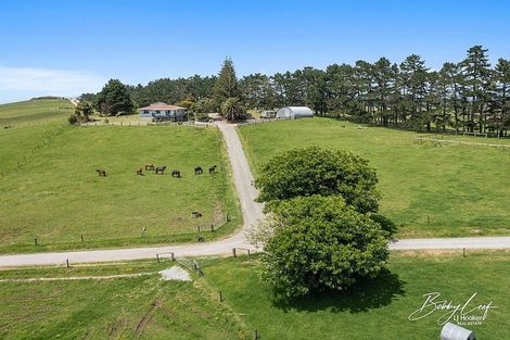 Photo of property in 59 Simpson Road, Lake Ohia, Karikari Peninsula, 0483