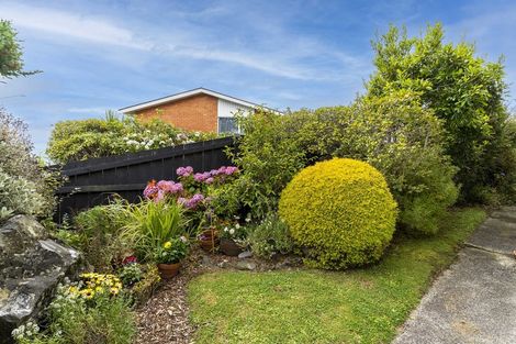 Photo of property in 244a Highgate, Roslyn, Dunedin, 9010