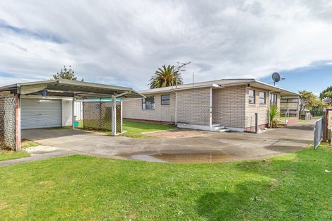 Photo of property in 19 Balmoral Street, Levin, 5510