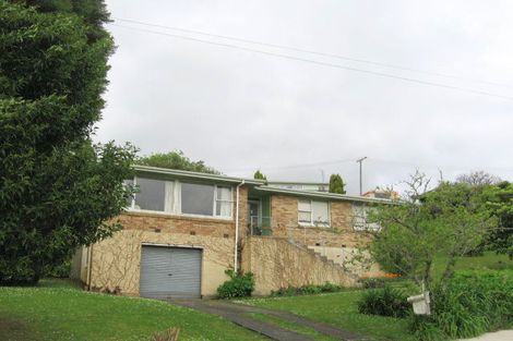 Photo of property in 9 Lewis Street, Paeroa, 3600