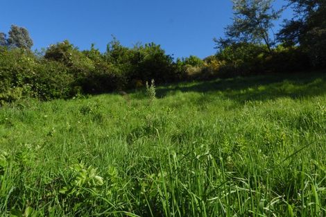 Photo of property in 12 Yare Street, Oamaru, 9400