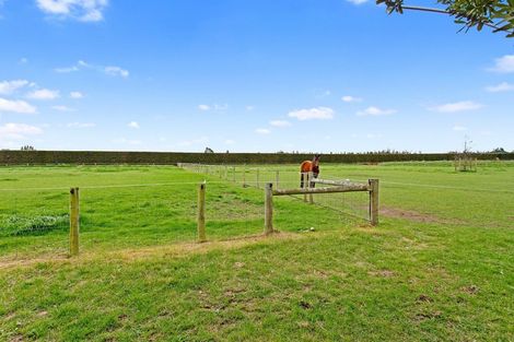 Photo of property in 1682 Clintons Road, Darfield, 7571