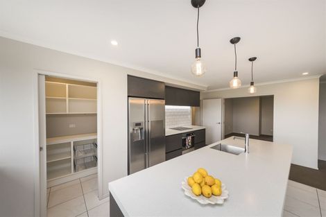 Photo of property in 161 Mount Taylor Drive, Feilding, 4775