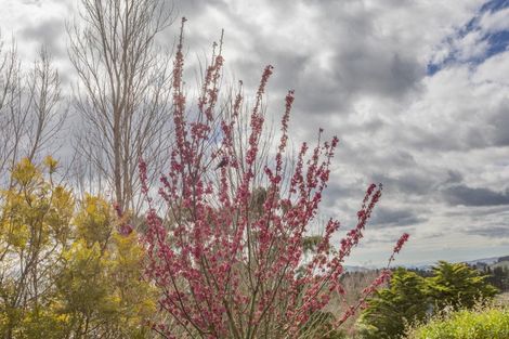 Photo of property in 99 Ireland Road, Waipawa, Otane, 4277