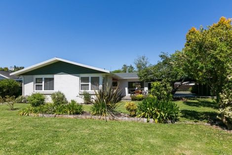 Photo of property in 1 Shortland Place, Havelock North, 4130