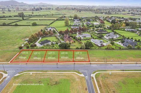 Photo of property in 40 Peakedale Drive, Matamata, 3400