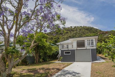 Photo of property in 1149 Purangi Road, Ferry Landing, Whitianga, 3591