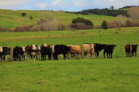 Photo of property in 1008 Tangowahine Valley Road, Tangowahine, Dargaville, 0372