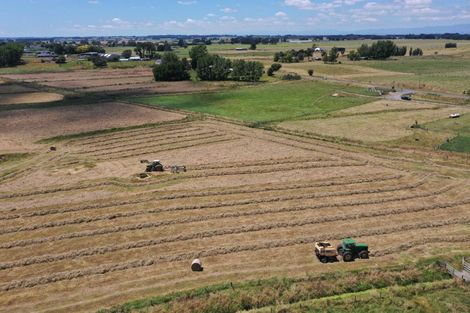 Photo of property in 128 Banks Road, Rongotea, Palmerston North, 4473