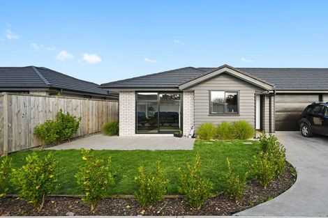 Photo of property in 1136b Heaphy Terrace, Fairfield, Hamilton, 3214