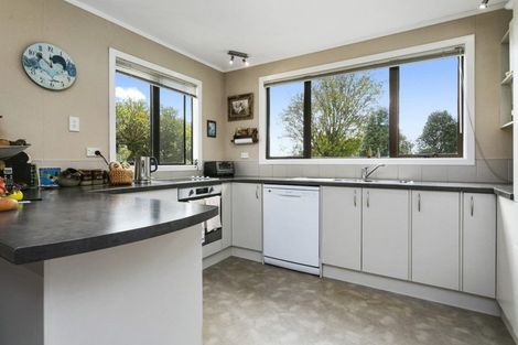 Photo of property in 2879 Arapuni Road, Pukeatua, 3880