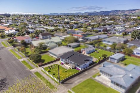 Photo of property in 18 Princes Street, Levin, 5510