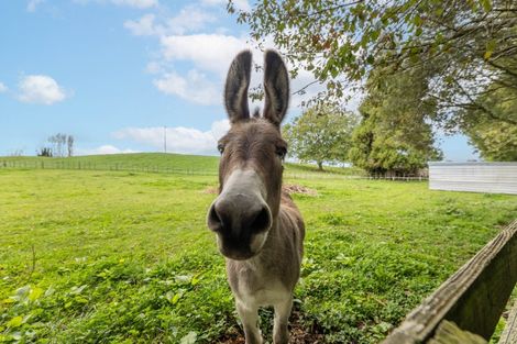 Photo of property in 20 Arapuni Road, Arapuni, Putaruru, 3415