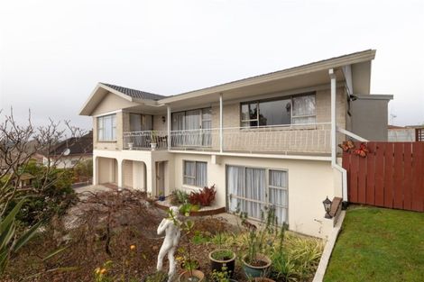 Photo of property in 19 Ridout Street, Maeroa, Hamilton, 3200