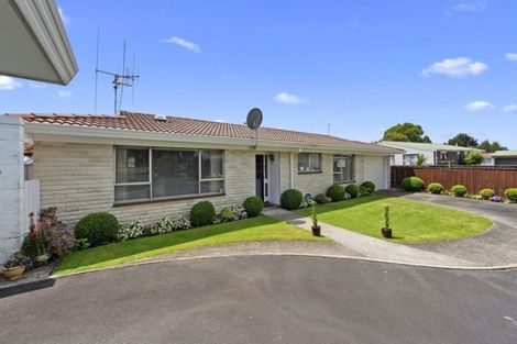 Photo of property in 229b Clarkin Road, Fairfield, Hamilton, 3214
