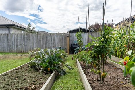 Photo of property in 224 Cumberland Drive, Flagstaff, Hamilton, 3210