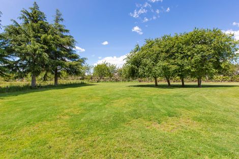 Photo of property in 29 Birchwood Lane, Tamahere, Hamilton, 3283
