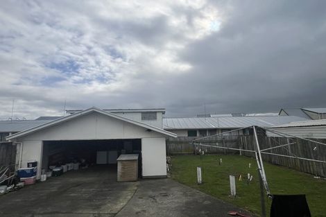Photo of property in 217 Ferguson Street, Palmerston North, 4410