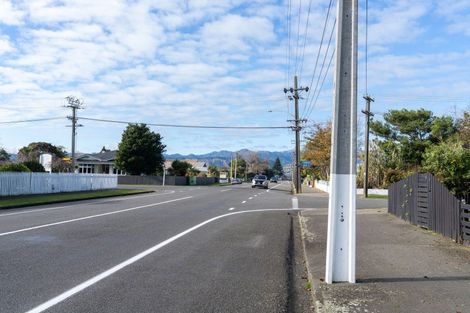Photo of property in 33 Mako Mako Road, Levin, 5510