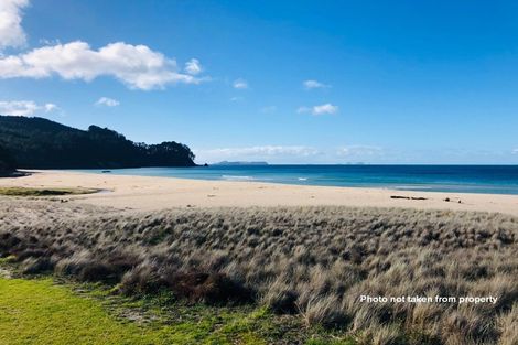 Photo of property in 203 Onemana Drive, Onemana, Whangamata, 3691