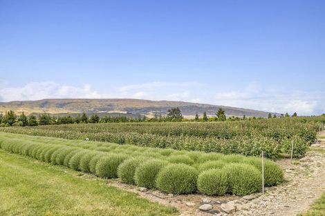 Photo of property in 42d Gladsmuir Road, Queensberry, Cromwell, 9383