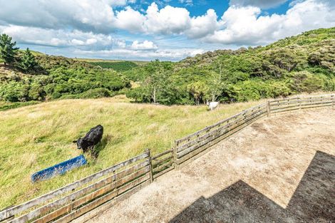 Photo of property in 306 Campbell Road, Brunswick, Whanganui, 4571