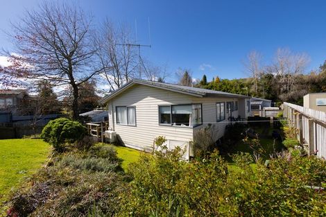 Photo of property in 100b Tirau Street, Putaruru, 3411