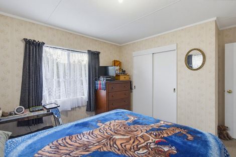 Photo of property in 13 Douglas Street, Levin, 5510