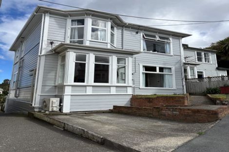 Photo of property in 21a Hargreaves Street, Mount Cook, Wellington, 6021