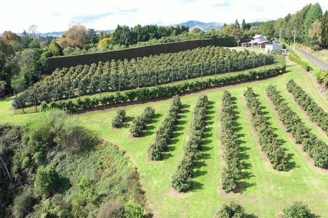 Photo of property in 14 Merrick Road, Pyes Pa, Tauranga, 3173