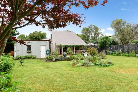 Photo of property in 100 Albert Street, Hamilton East, Hamilton, 3216