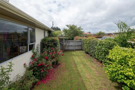 Photo of property in 186 Regan Street, Stratford, 4332