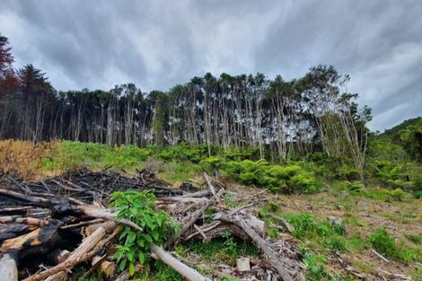 Photo of property in 574 Honeymoon Valley Road, Peria, Kaitaia, 0482