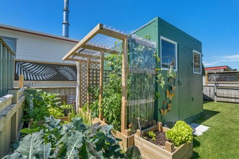 Photo of property in 13 Tasman Street, Opunake, 4616