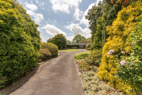 Photo of property in 282 Marshmeadow Road, Newstead, Hamilton, 3286