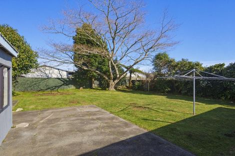 Photo of property in 58 Power Street, Levin, 5510