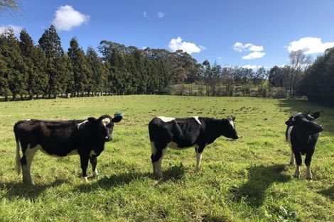 Photo of property in 165a Stanners Road, Kerikeri, 0295