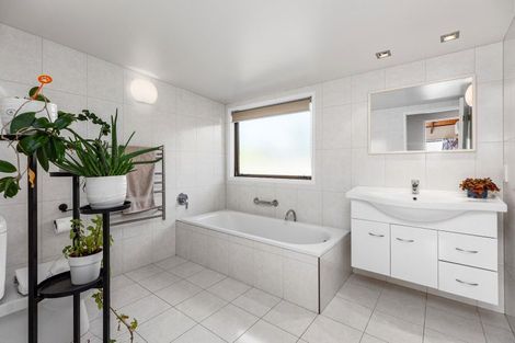 Photo of property in 3 Eighteenth Avenue, Tauranga South, Tauranga, 3112