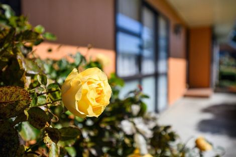 Photo of property in 22 Virginia Crescent, Feilding, 4702