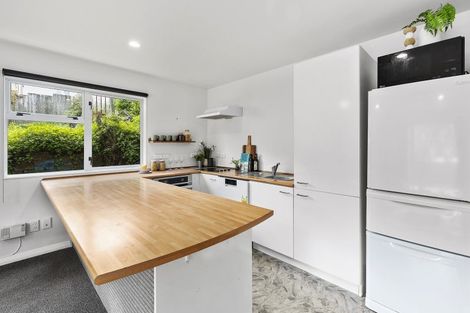 Photo of property in 179a Hanson Street, Newtown, Wellington, 6021