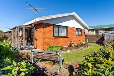 Photo of property in 8b Bellona Street, Saint Kilda, Dunedin, 9012