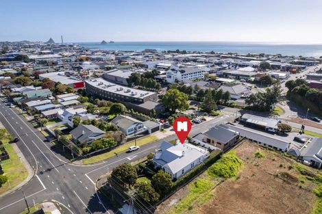 Photo of property in 135 Lemon Street, New Plymouth, 4312