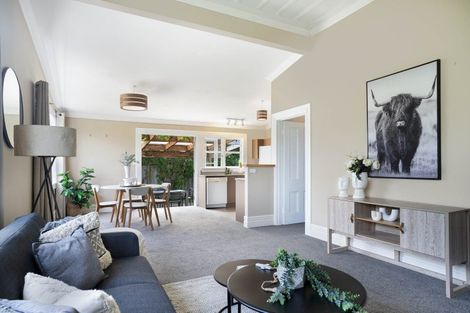 Photo of property in 100 Jellicoe Street, Martinborough, 5711