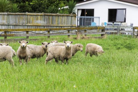 Photo of property in 42 Cameron Road, Makauri, Gisborne, 4071