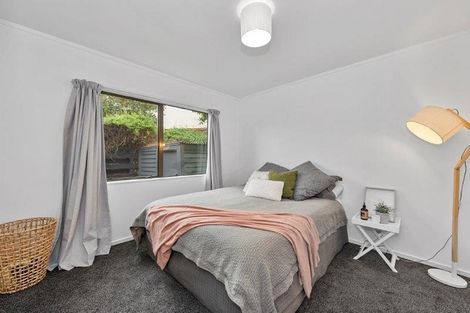 Photo of property in 8a Park Terrace, Hamilton Central, Hamilton, 3204