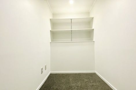 Photo of property in 26 Buchanan Street, Kingsland, Auckland, 1021