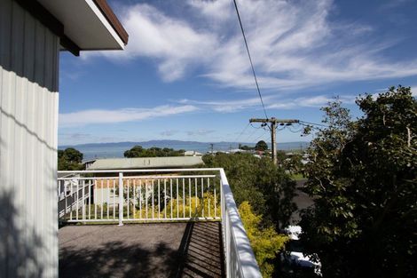 Photo of property in 25 Creagh Street, Tapu, Thames, 3575