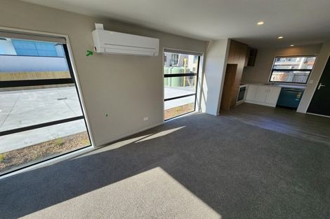 Photo of property in 87a Bordesley Street, Phillipstown, Christchurch, 8011
