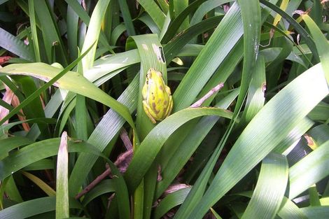 Photo of property in 104b Duncan Road, Tamahere, Hamilton, 3283